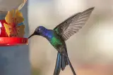 image 1 e1648749604237