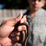man holding snake 2021 11 11 00 53 06 utc