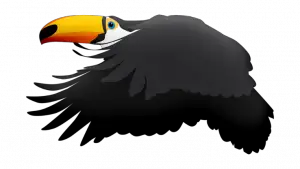 Do Toucans Migrate or Hibernate? (Answered) 3 image