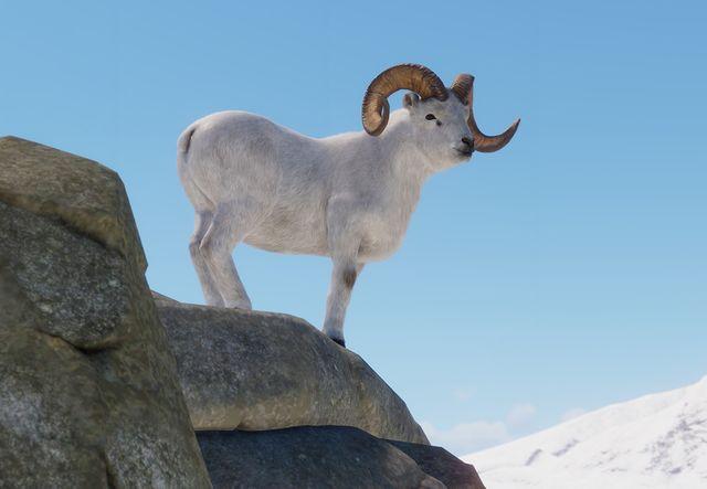 What Animals Lives at The North Pole? 6 image 196