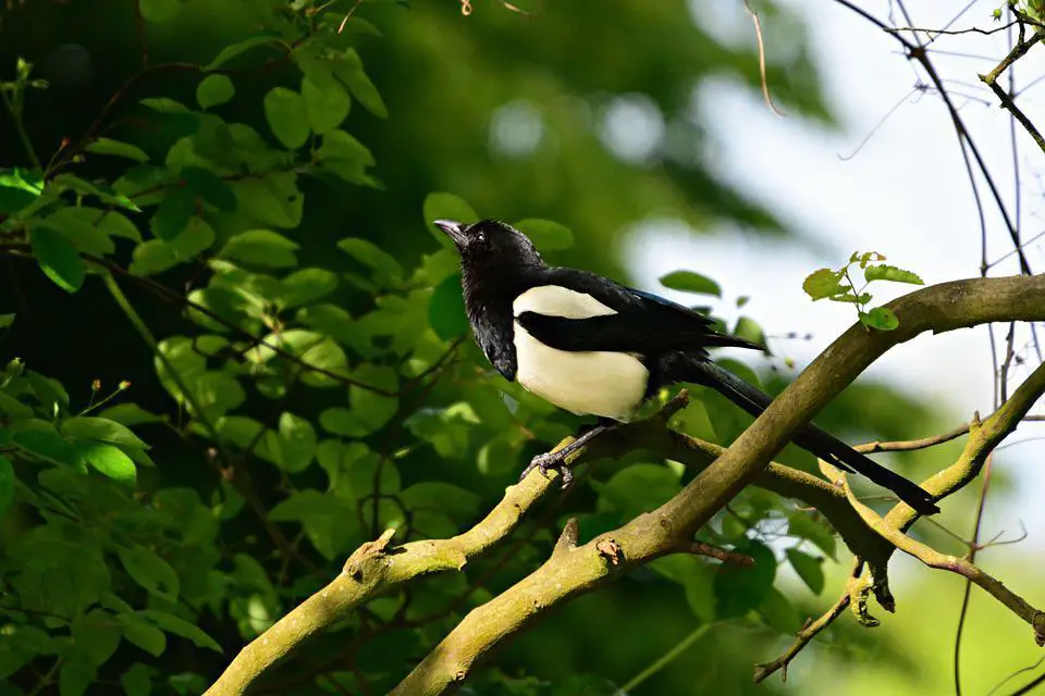 image 68