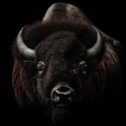 how do bison defend themselves