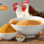 Do Chickens Eat Less When Molting