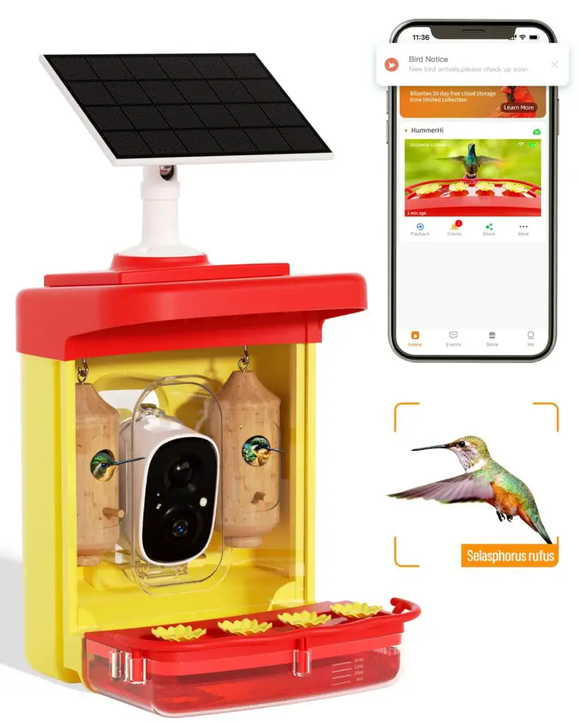 Best Bird Feeder with Camera: Top Picks for 2023 3 image 3