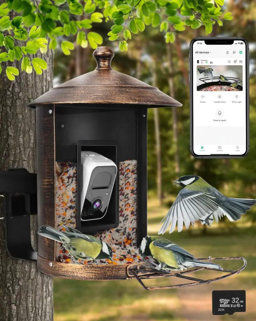 Best Bird Feeder with Camera: Top Picks for 2023 4 image 4