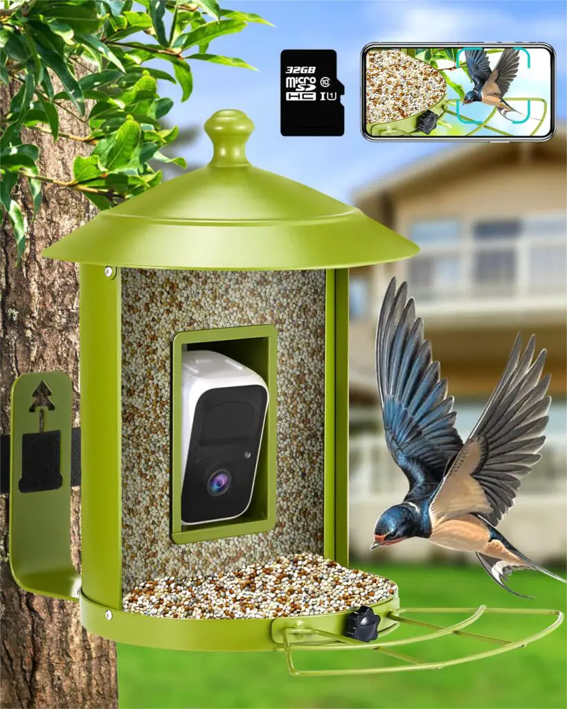 Best Bird Feeder with Camera: Top Picks for 2023 5 image 5