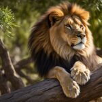Lion tree climbing