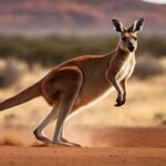 Kangaroo hopping