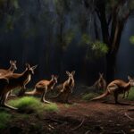 Kangaroo nocturnal behavior