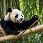 Panda adaptations