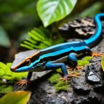 Fun Facts About Skinks
