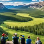 What are the best national parks to see wildlife in the USA?