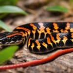What are the most dangerous animals in the USA?