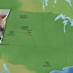 What is the range of the American marten?