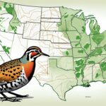 American woodcock distribution