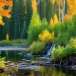 What types of habitats do beavers prefer?