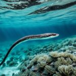 Are sea snakes dangerous to humans?