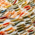 Are shrimp endangered?