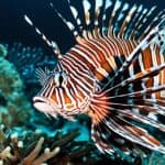 How do lionfish defend themselves?