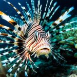 How do lionfish use their venomous spines?