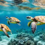 How do sea turtles navigate?