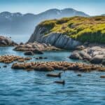 Where do sea otters live?